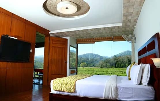 Presidential Jungle view suite ( Fully AC )