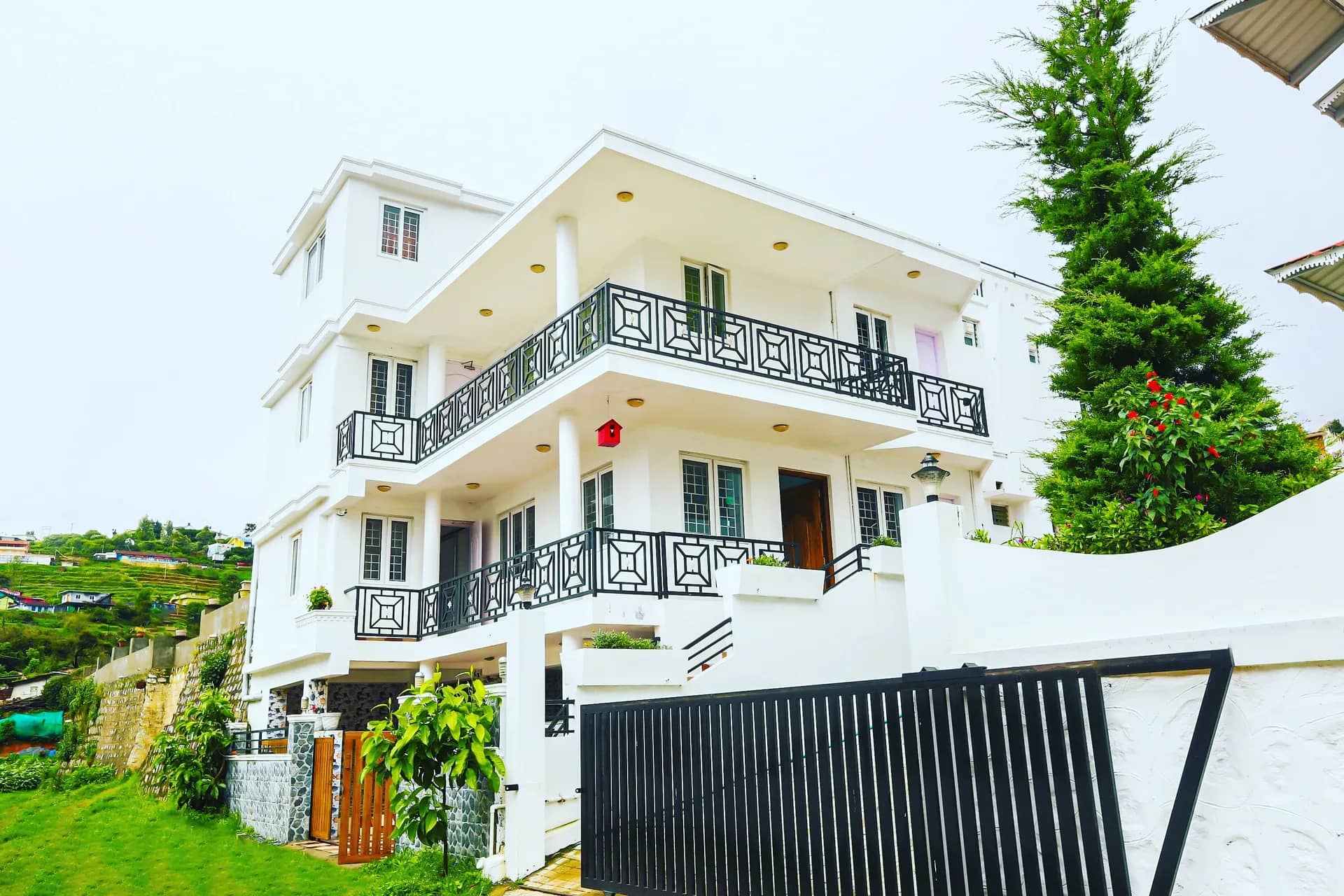 The Forest View Cottages | Rooms & Wi-Fi